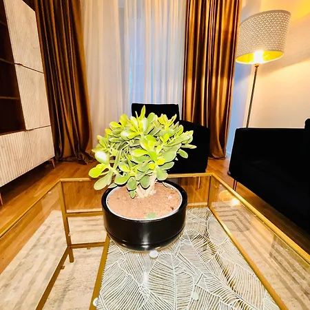 Cosy Apartment Bucharest